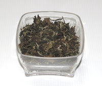 Wild Bai Mu Dan